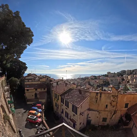 Blue Iris * San Remo